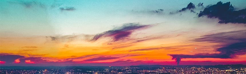 广西茶虫网_广西品茶